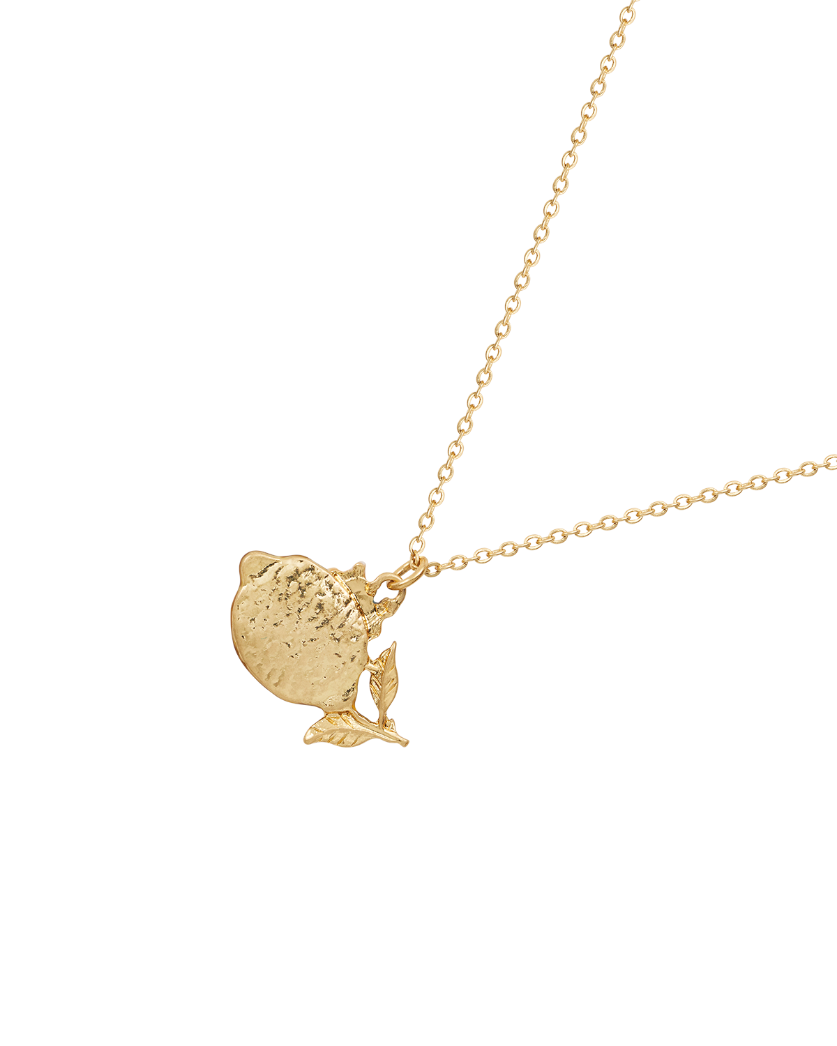 Collar de Limón Fable England x Peter Rabbit