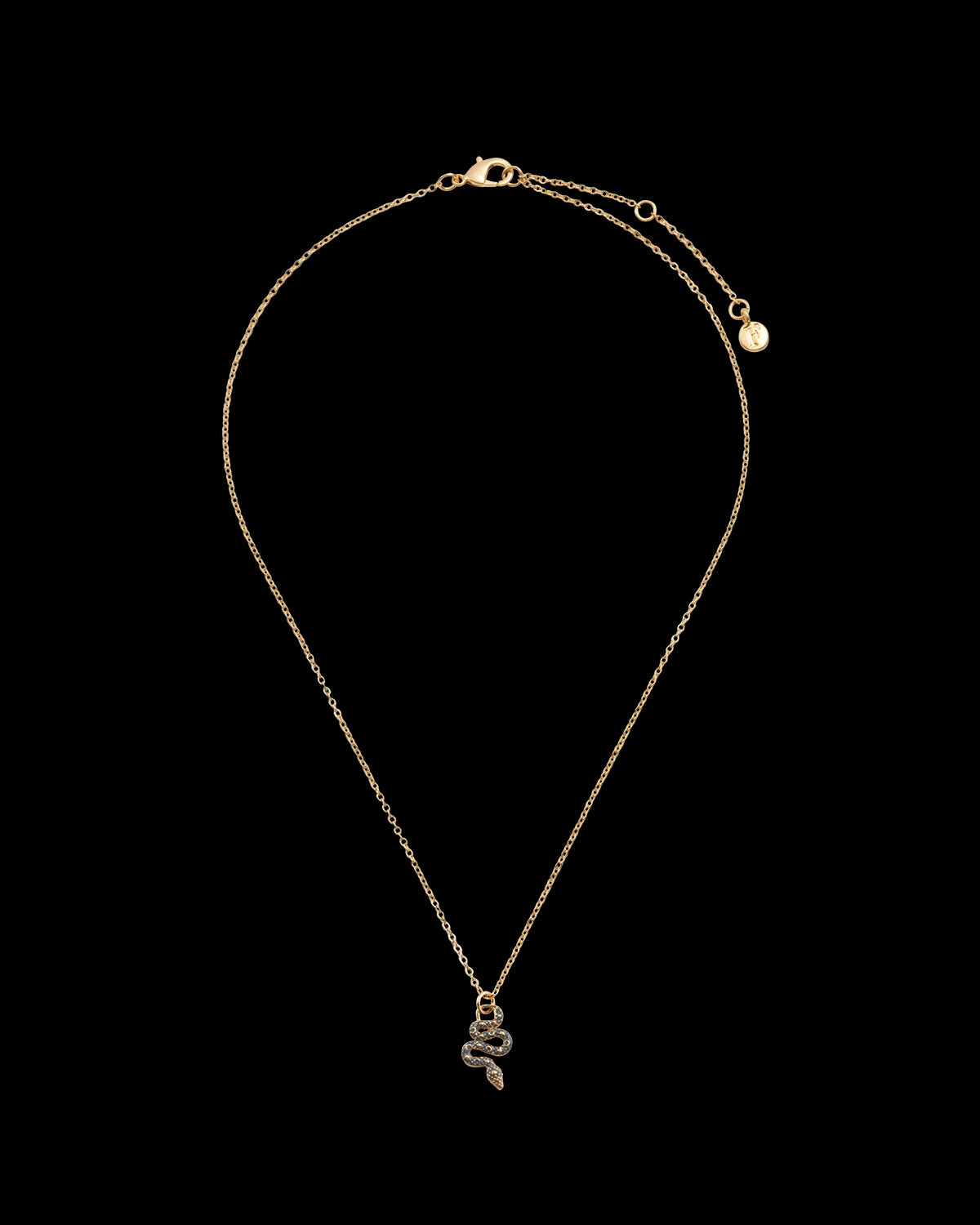Collar Serpiente Celestial
