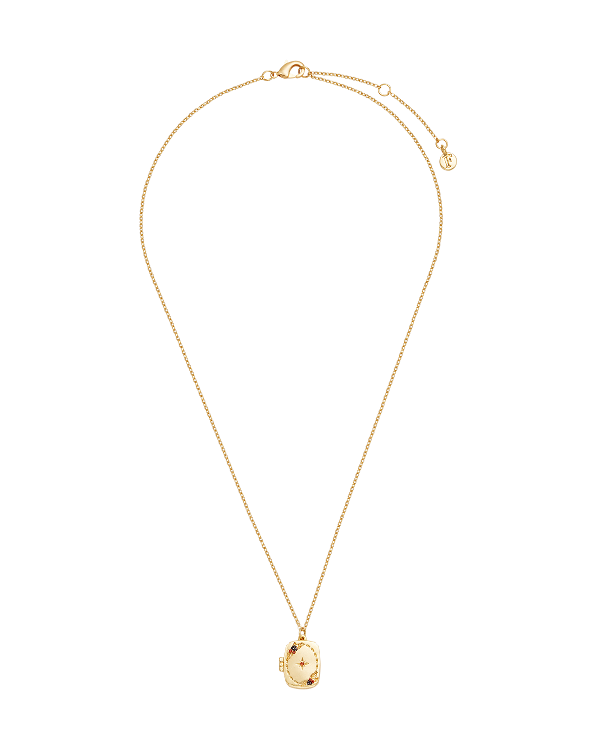 Orla Hedgerow Locket Necklace in Gold
