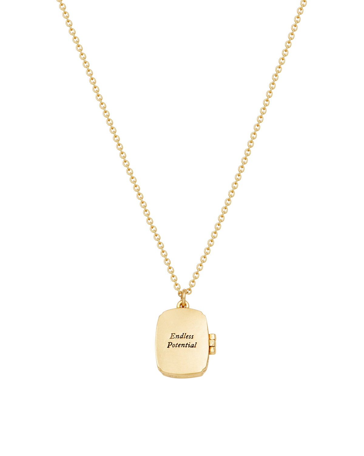 Orla Hedgerow Locket Necklace in Gold