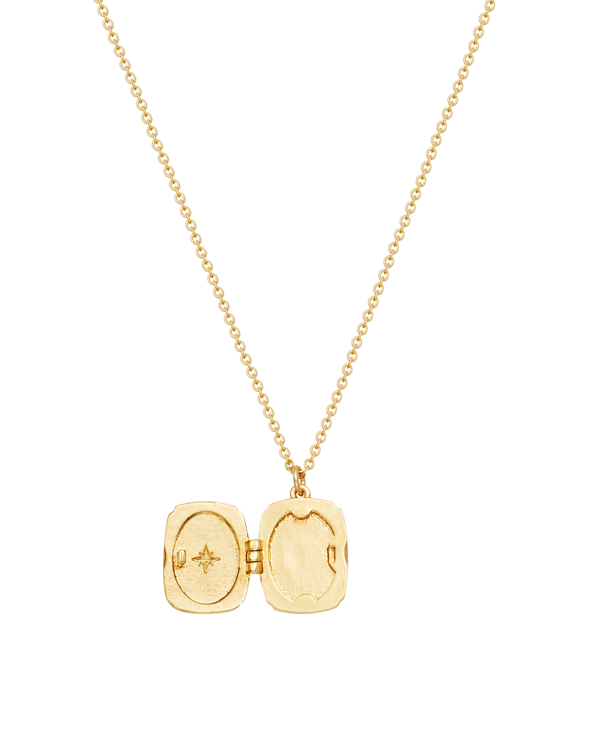 Orla Hedgerow Locket Necklace in Gold