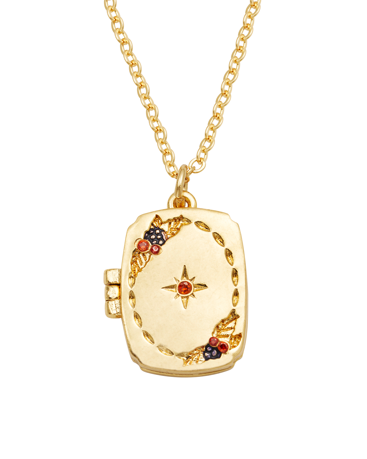 Orla Hedgerow Locket Necklace in Gold