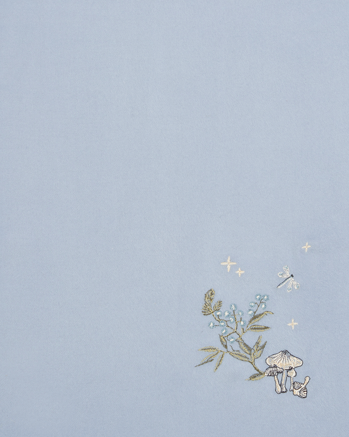 Bufanda Bordado de Setas - Celeste