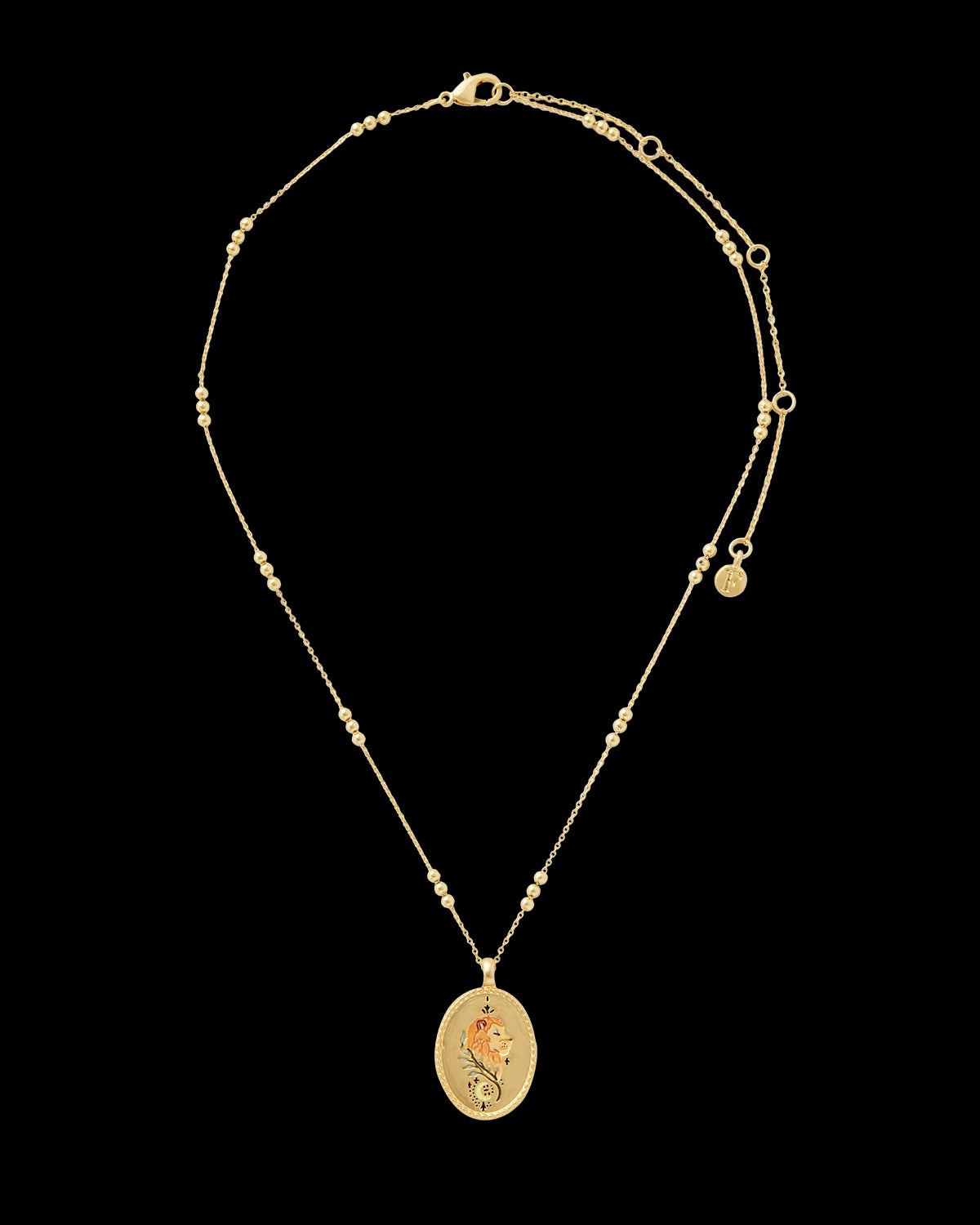 Leo ゾディアック しし座のネックレス