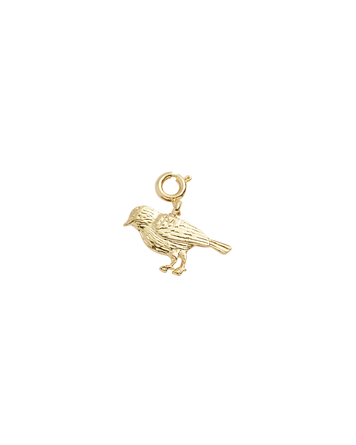 Enamel Robin Charm