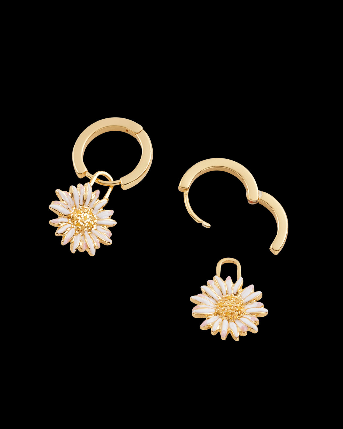 デイジー ハギーピアス