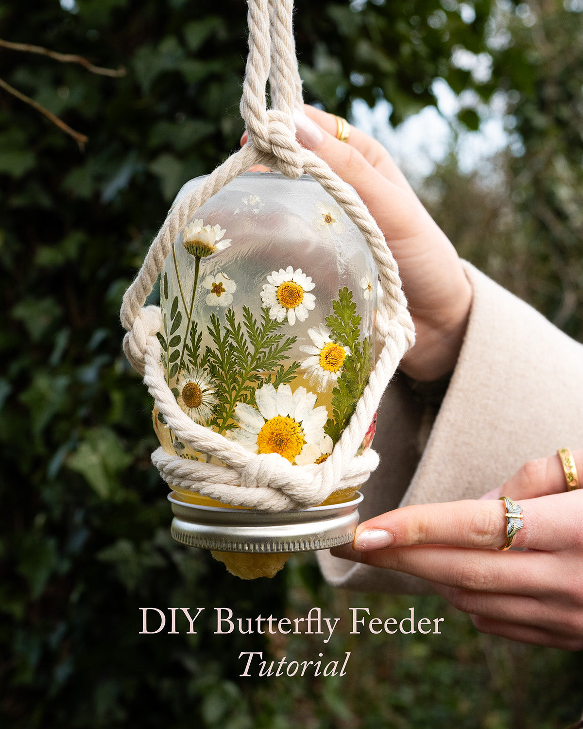 DIY Mason Jar Butterfly Feeder | Fable England