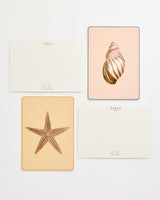 Whispering Sands Postcards - Pack Of 5