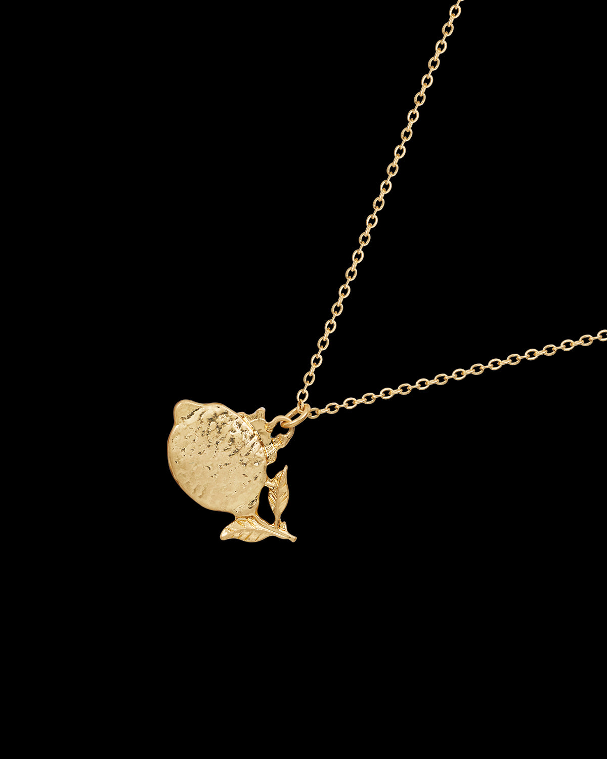 Fable England × ピーターラビット レモン ネックレス