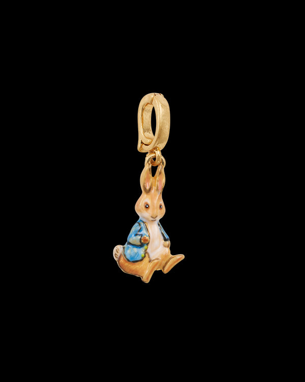 Fable England x Peter Rabbit Charm