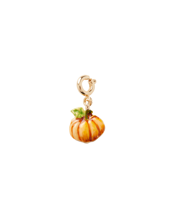 Pumpkin Charm