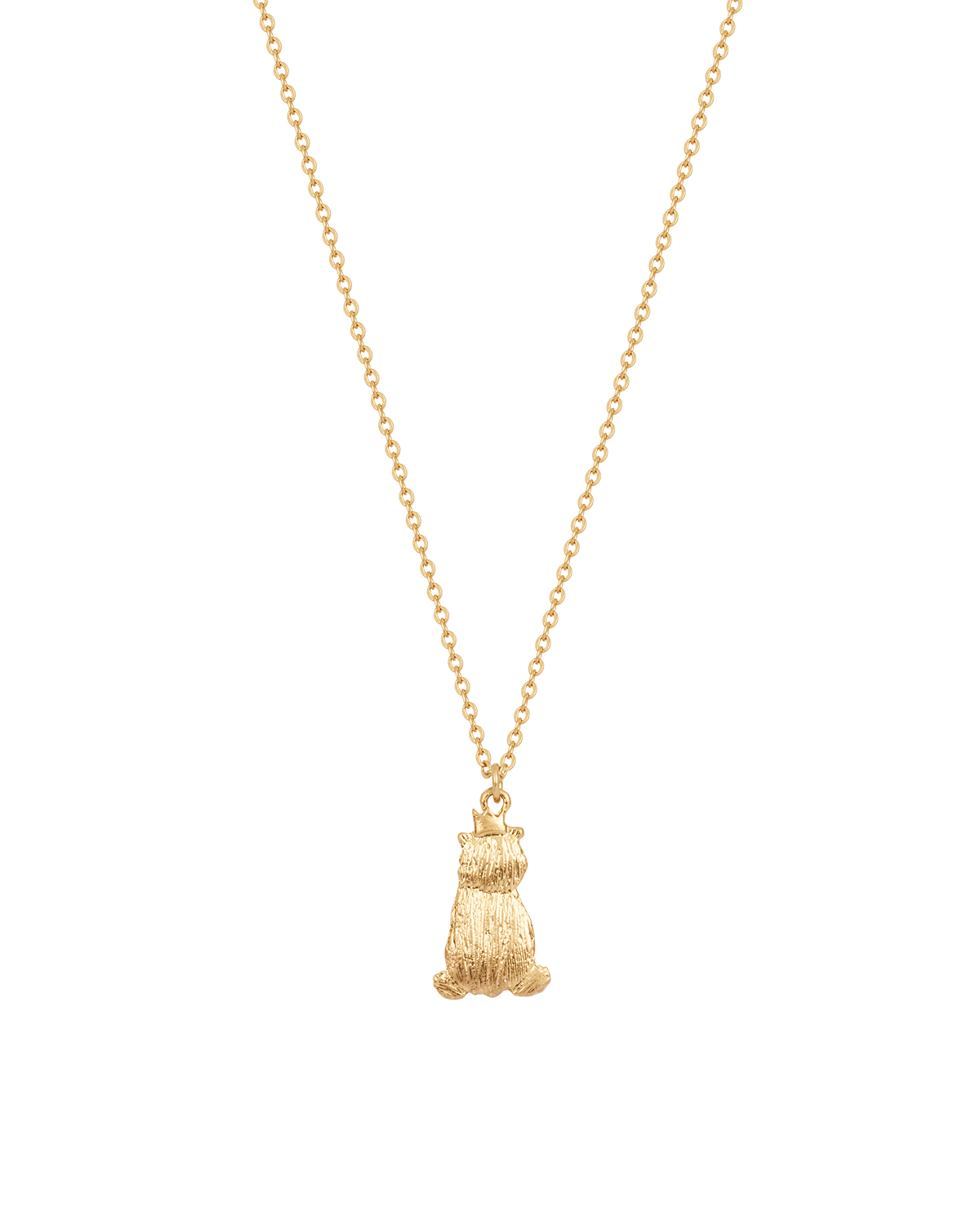 Gold necklace with a small pendant on a white background
