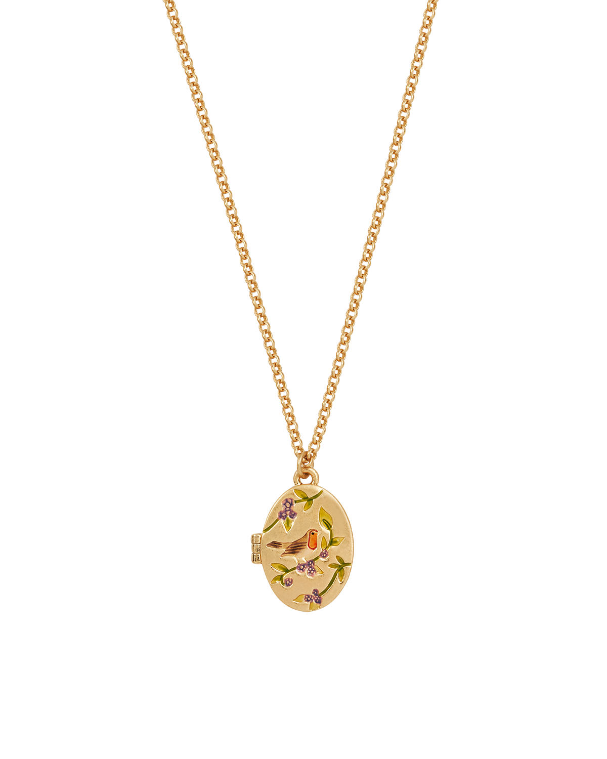 Gold necklace with a robin on a locket on a white background
