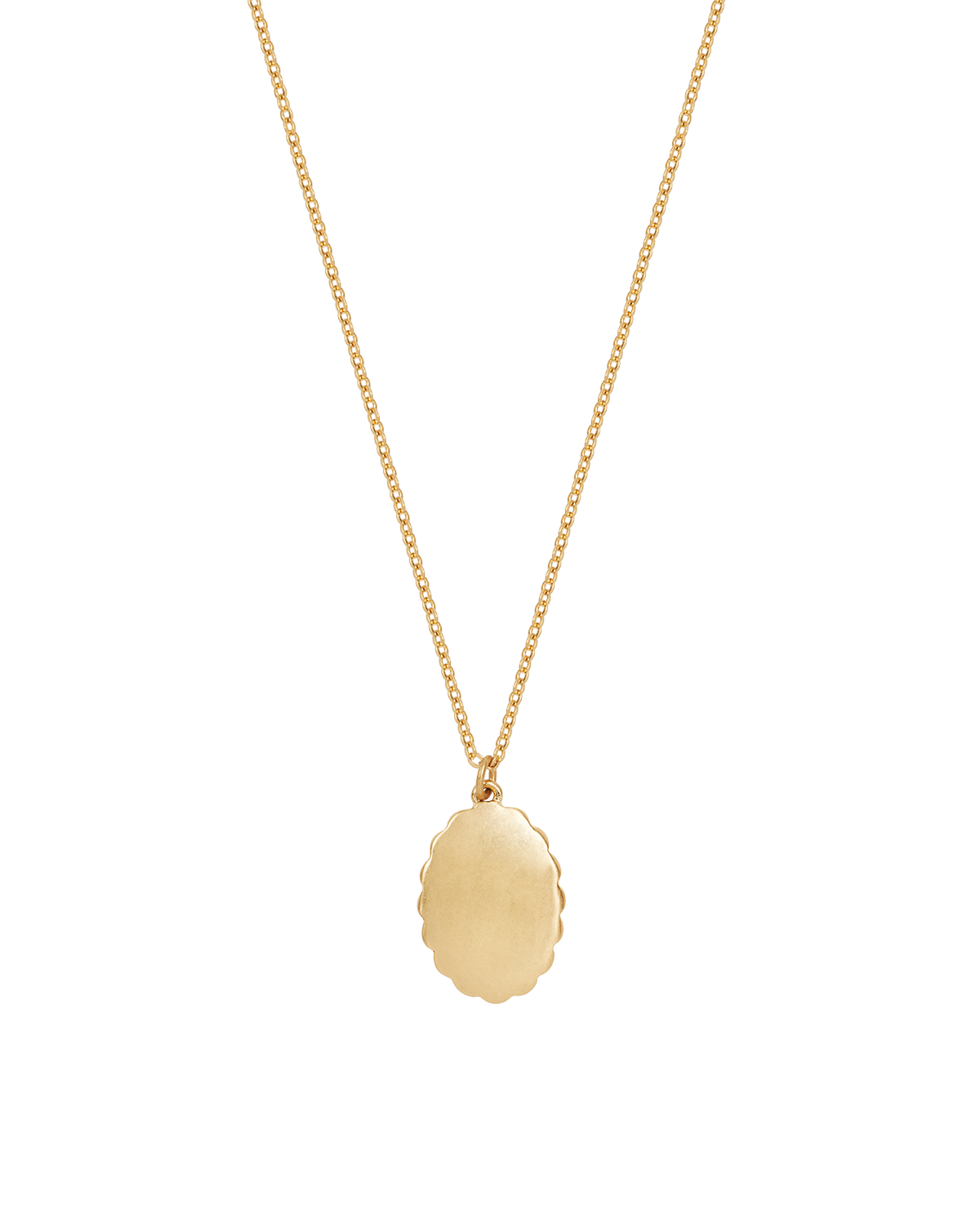 Gold Roses Vintage Framed Necklace