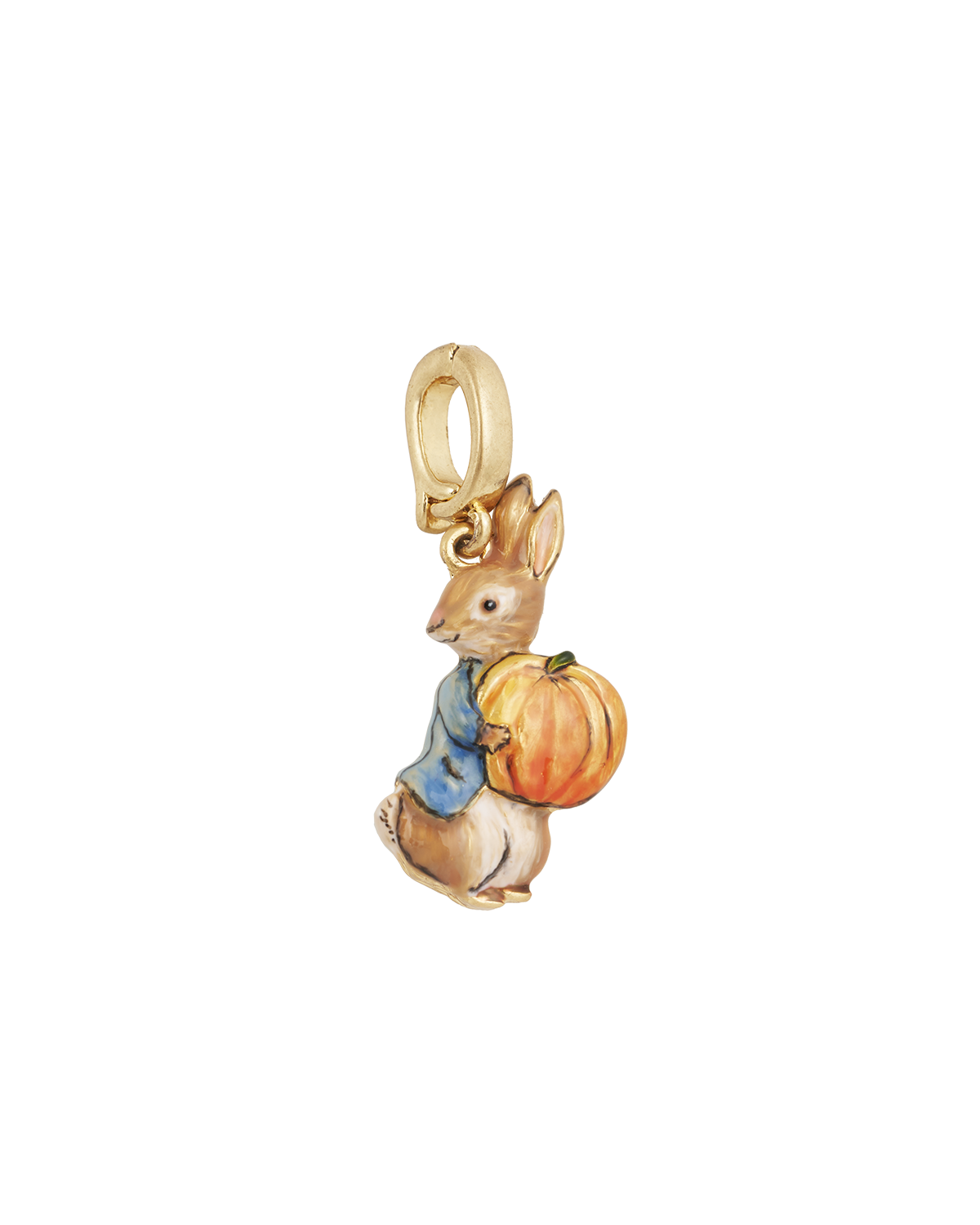 x Peter Rabbit Pumpkin Charm