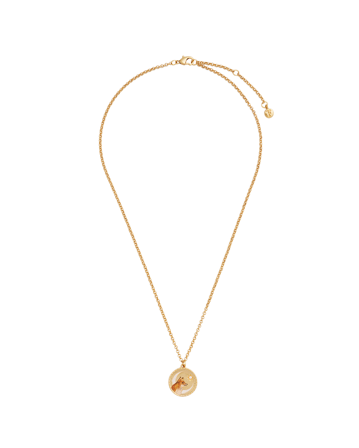 Gold necklace with a round pendant on a white background