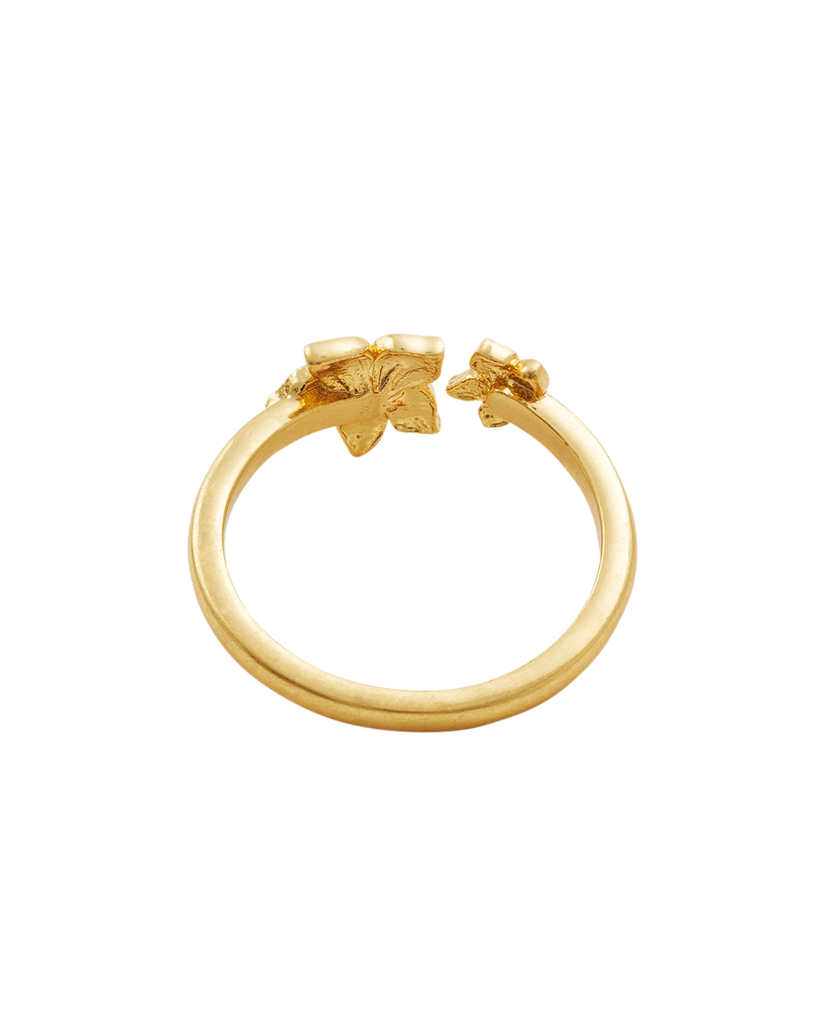 Gold ring with floral designs on a white background