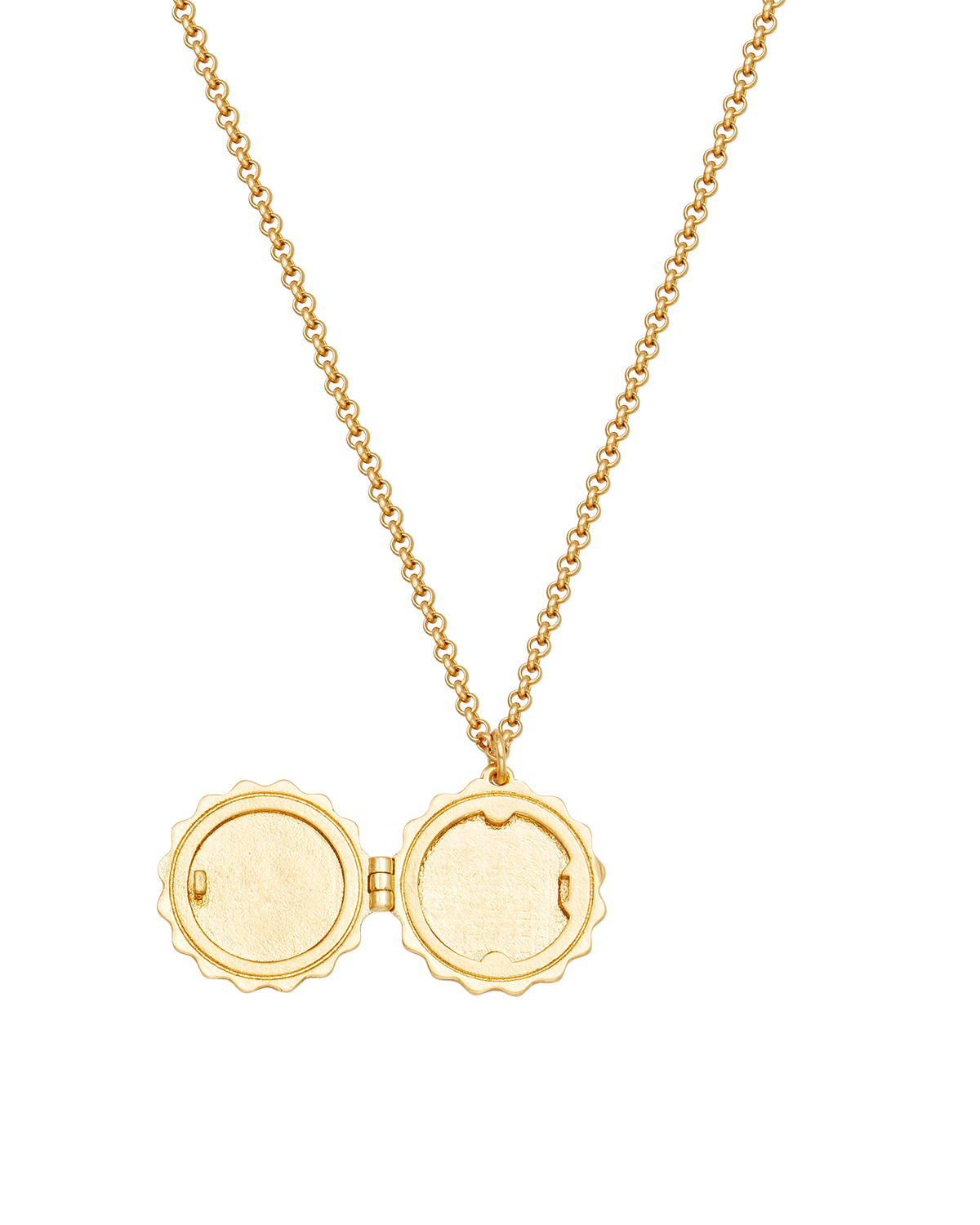 Collana Medaglione Ivy Blossom in Oro