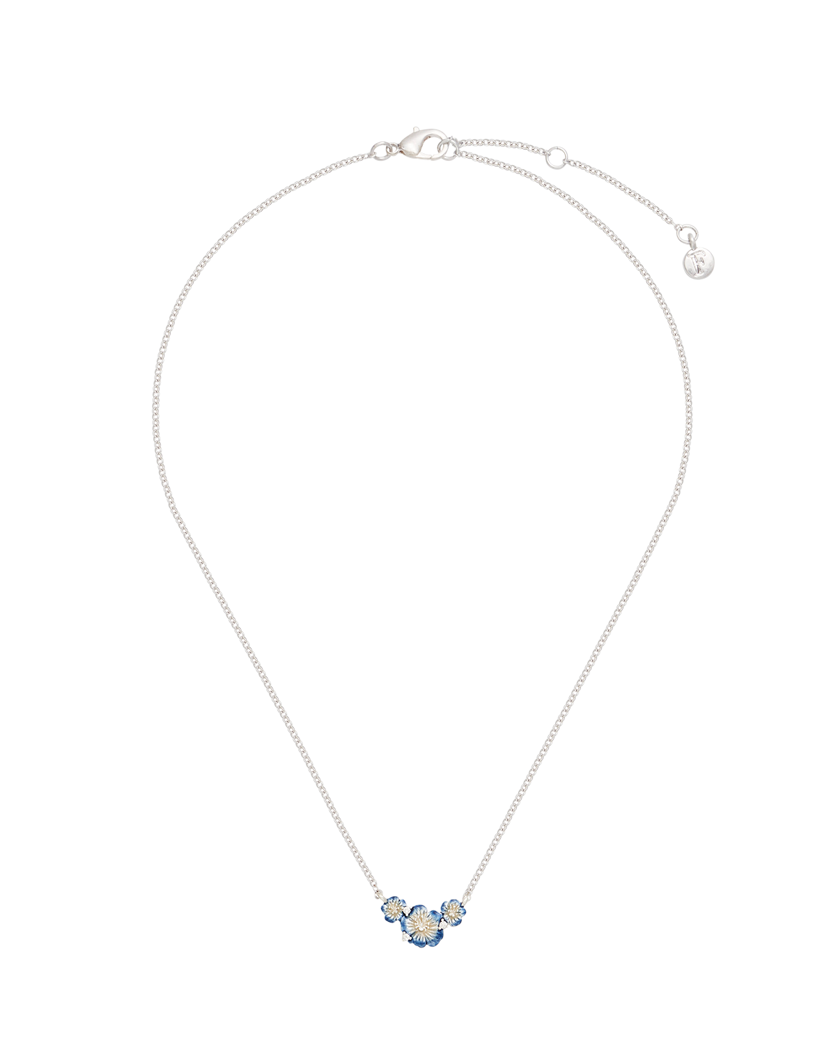 Larkspur Choker Necklace in Silver