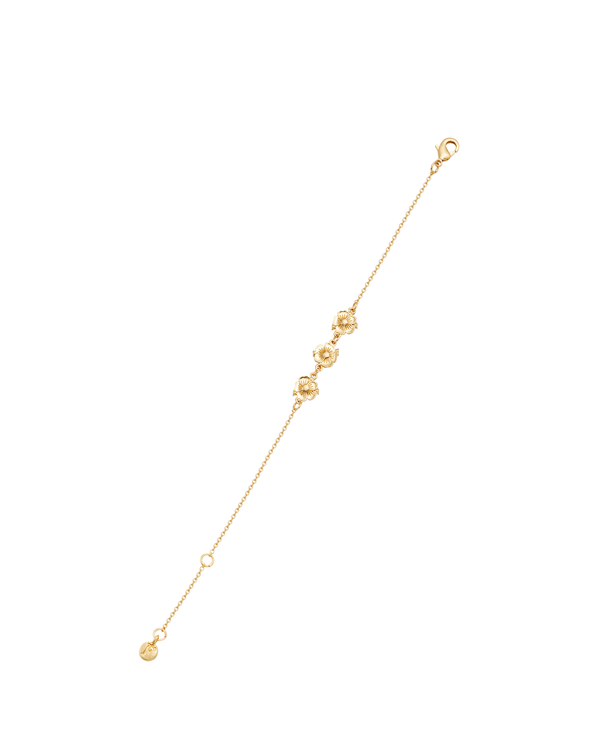 Larkspur Charm Bracelet in Gold