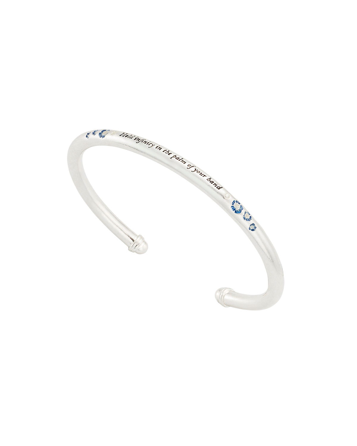 Larkspur Bangle in Silver