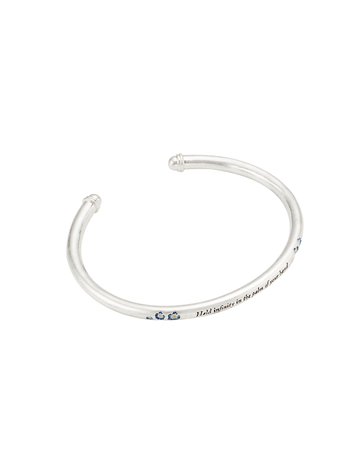 Larkspur Bangle in Silver