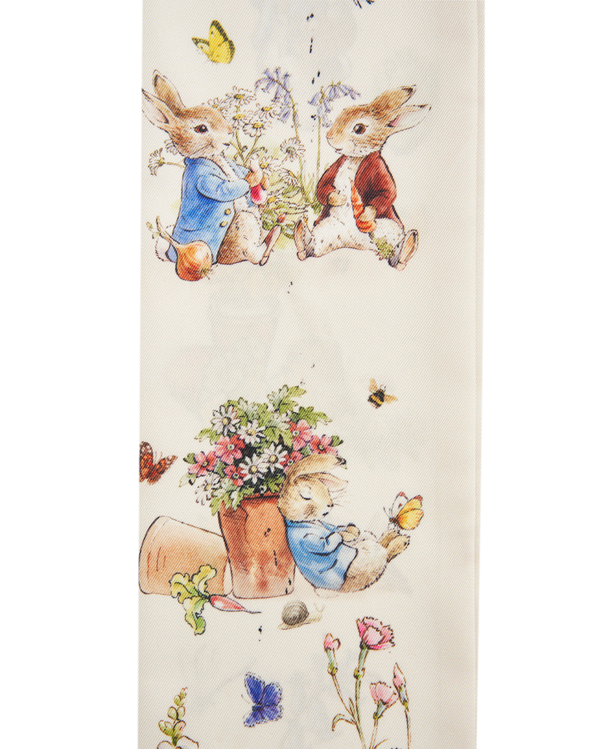 close up of peter rabbit illustrations on a cream background
