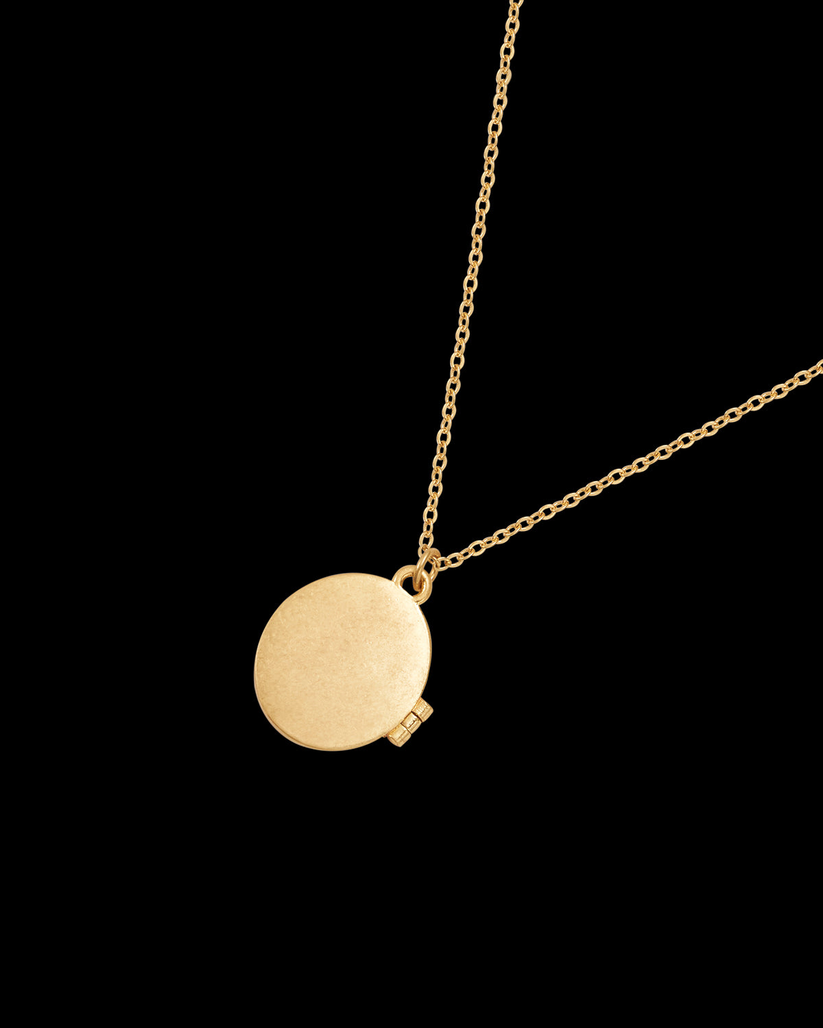 Blue Tit Locket Necklace