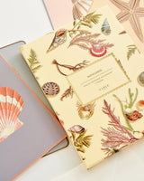 Whispering Sands Postcards - Pack Of 5