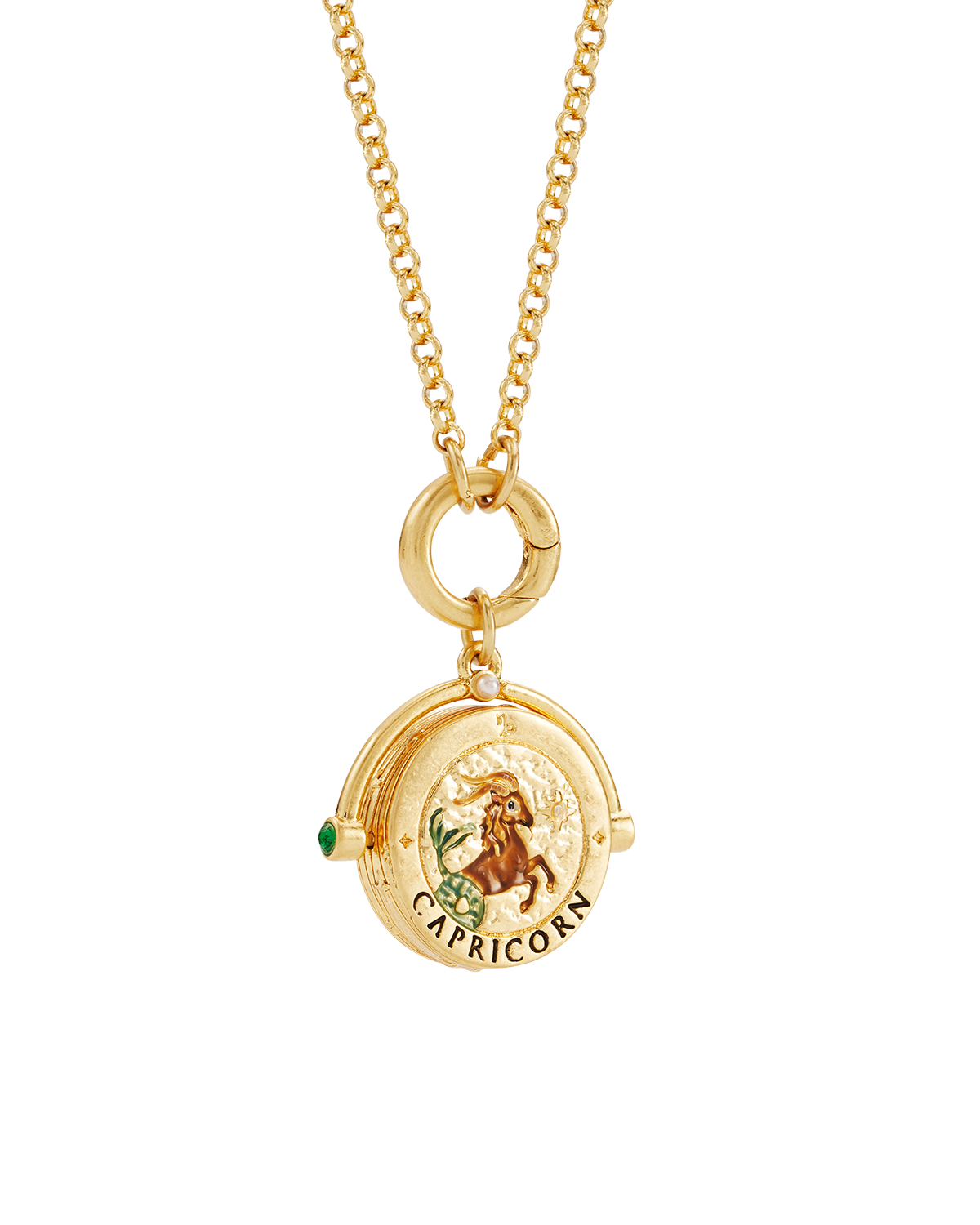 Steinbock Sternzeichen Halskette mit Drehanhänger in Gold