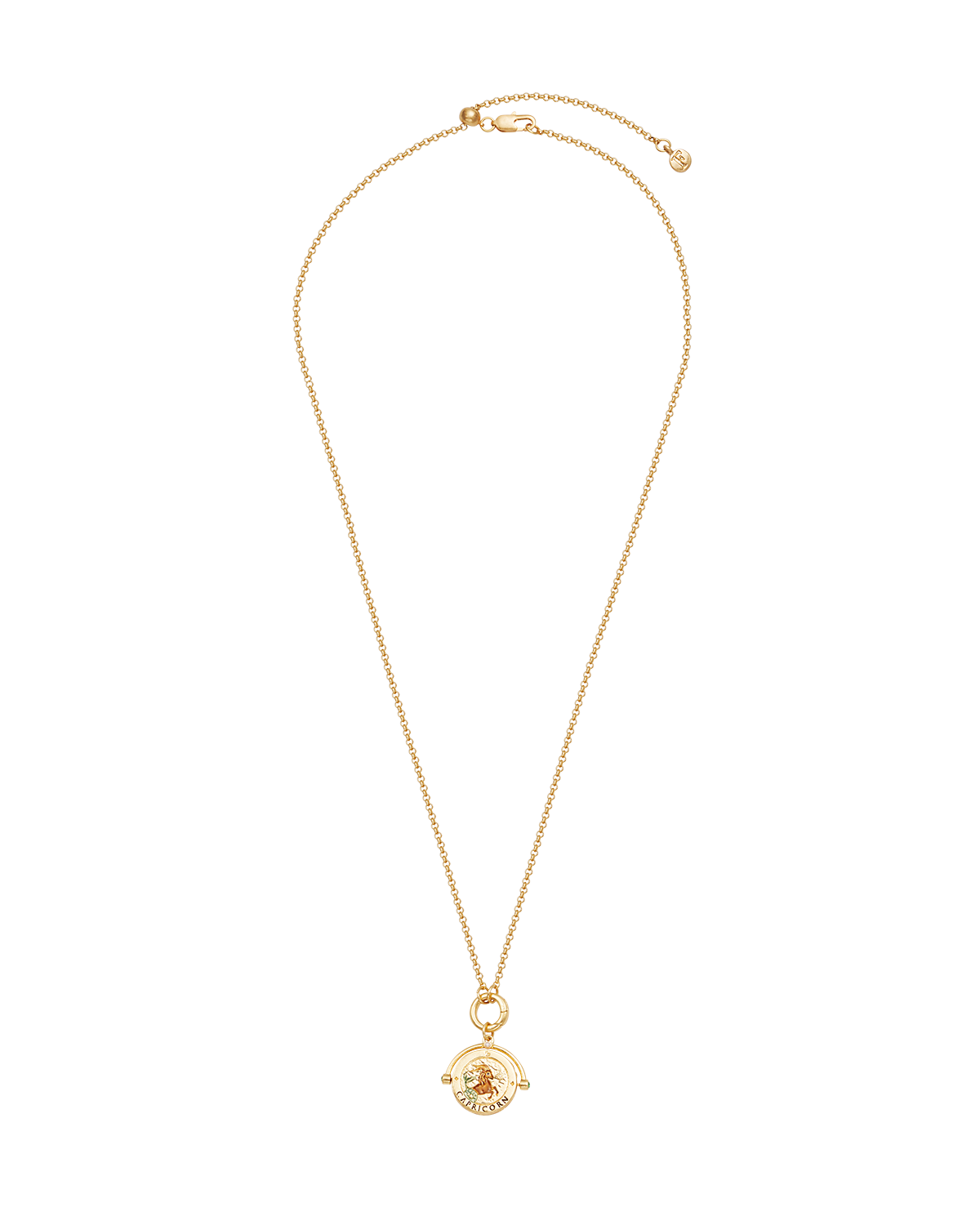 Steinbock Sternzeichen Halskette mit Drehanhänger in Gold