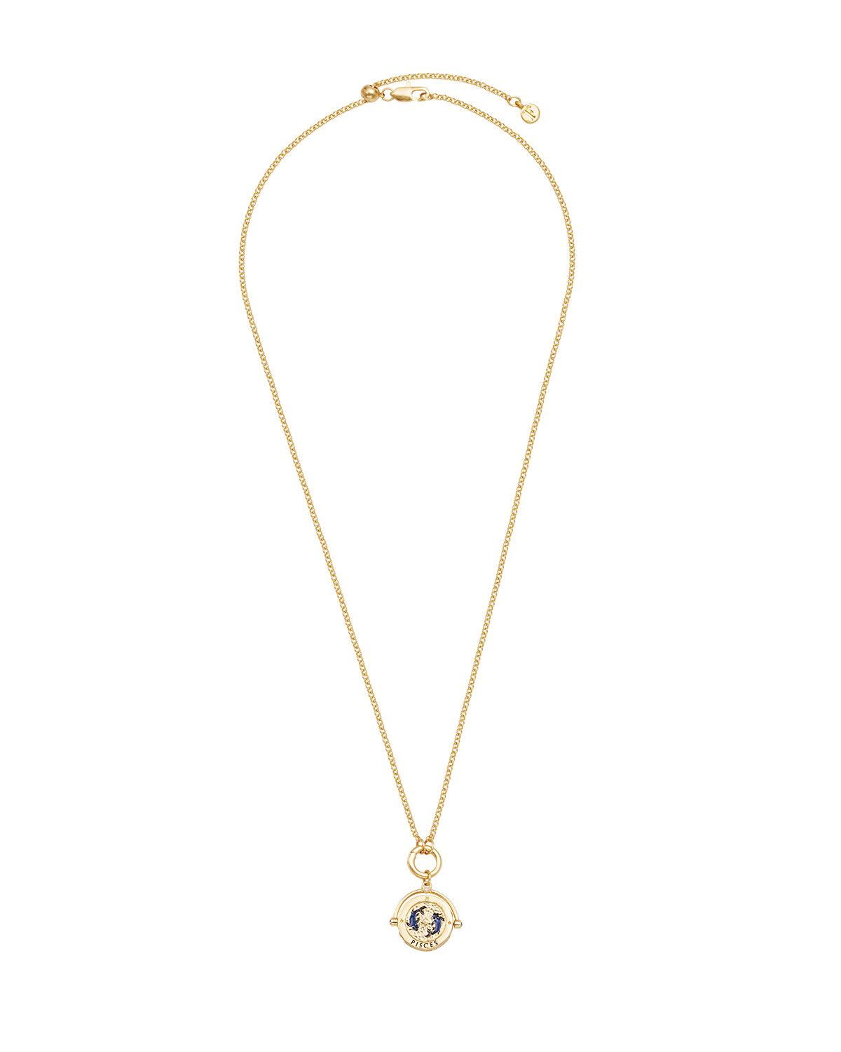 Fische Sternzeichen Halskette mit Drehanhänger in Gold