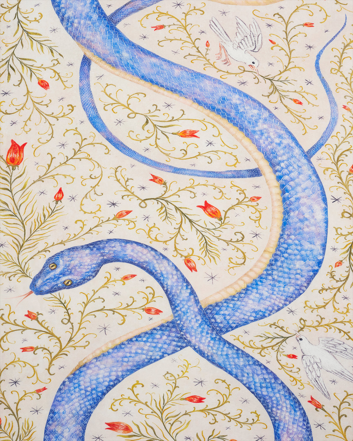 Catherine Rowe × セレスティアル スネーク ライトウェイト