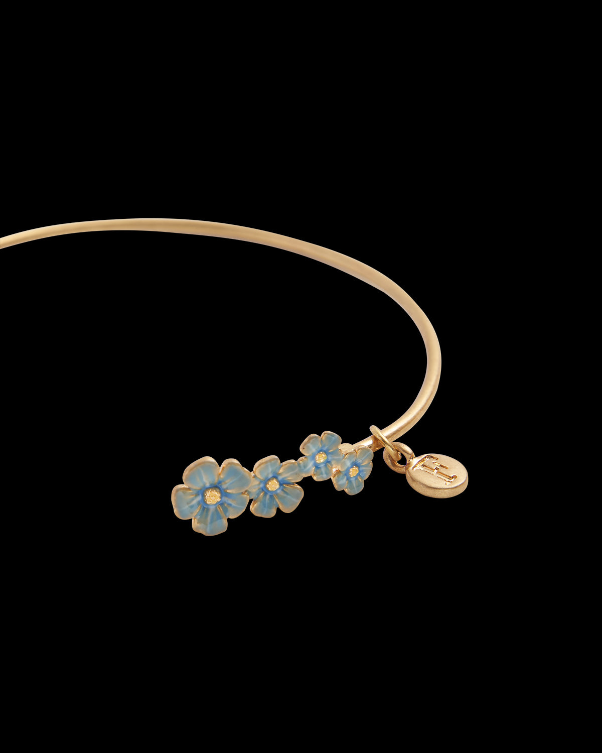 Brazalete No-Me-Olvides