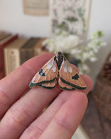 Enamel Moth Brooch