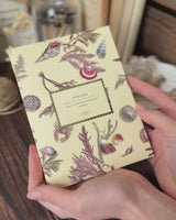 Whispering Sands Postcards - Pack Of 5