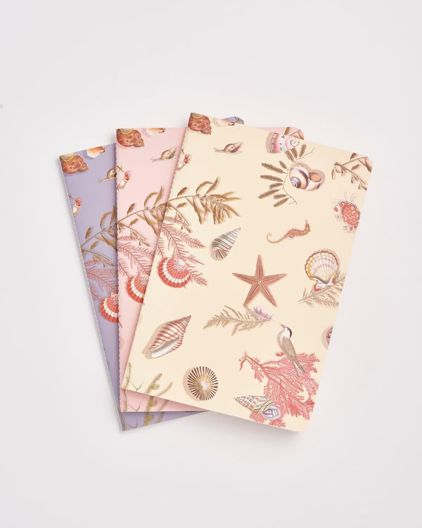 Whispering Sands Notebooks - Pack Of 3 by Fable England
